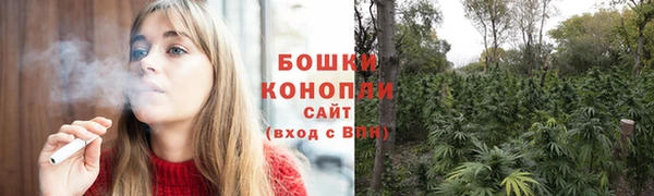 прущие грибы Бронницы