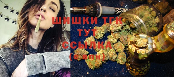 прущие грибы Бронницы