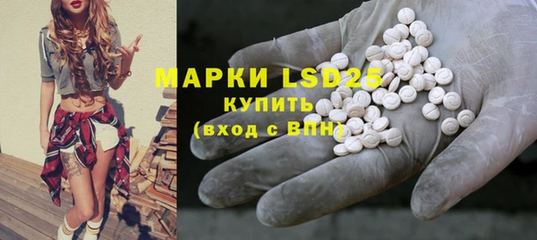 прущие грибы Бронницы