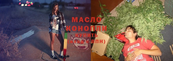 мдпв Няндома