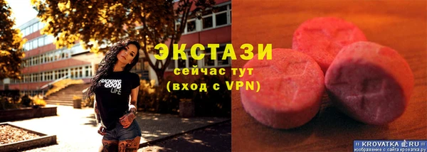 прущие грибы Бронницы