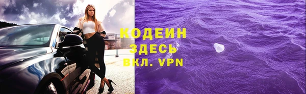 прущие грибы Бронницы