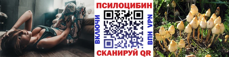 цена наркотик  Кизел  Псилоцибиновые грибы прущие грибы 